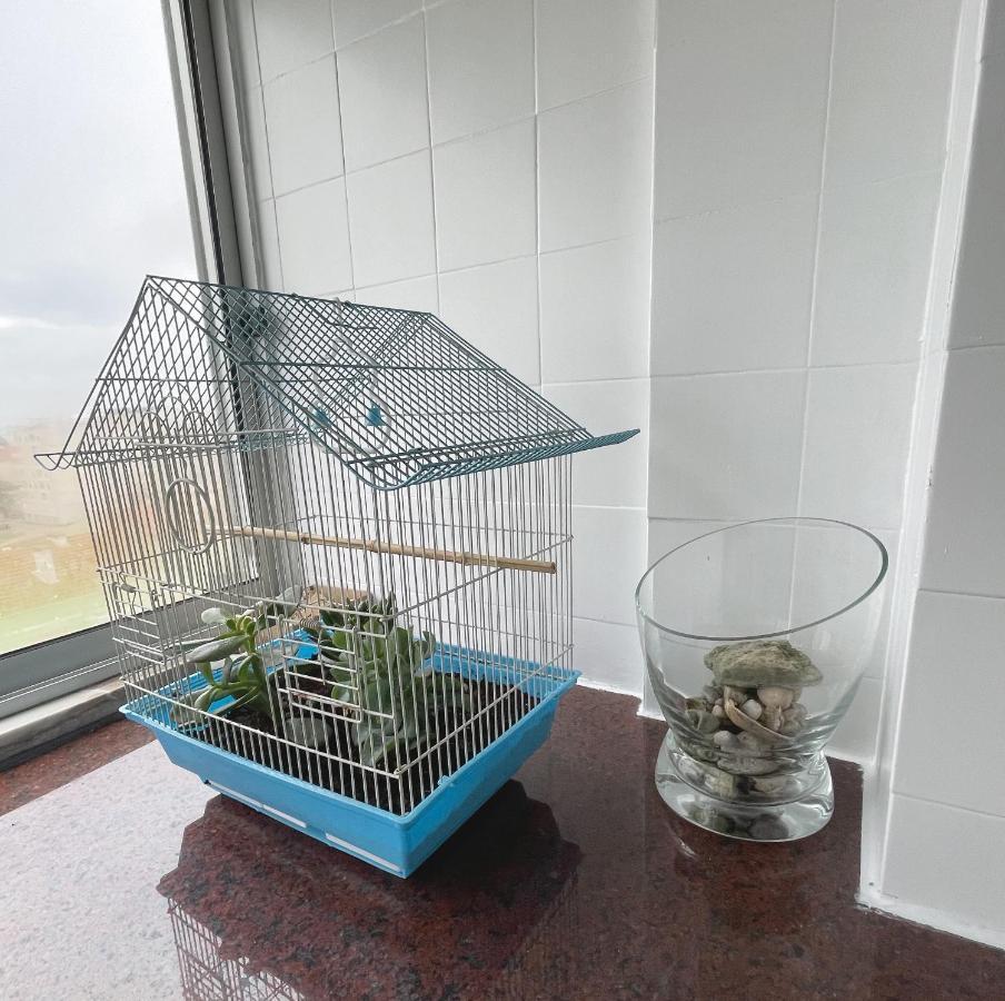 Blue Bay Apartment سيتوبال المظهر الخارجي الصورة